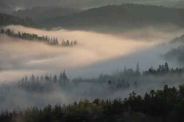 Ködös Reggel Szász Svájcban Szászország Németország — Stock Fotó