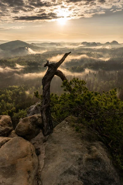 Sakson İsviçre 'de sisli bir sabah Saksonya, Almanya