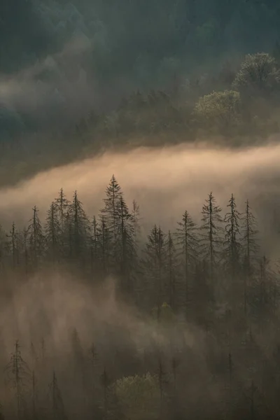 Mistige Ochtend Saksisch Zwitserland Saksen Duitsland Rechtenvrije Stockfoto's