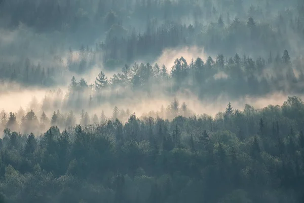 Mistige Ochtend Saksisch Zwitserland Saksen Duitsland Stockfoto