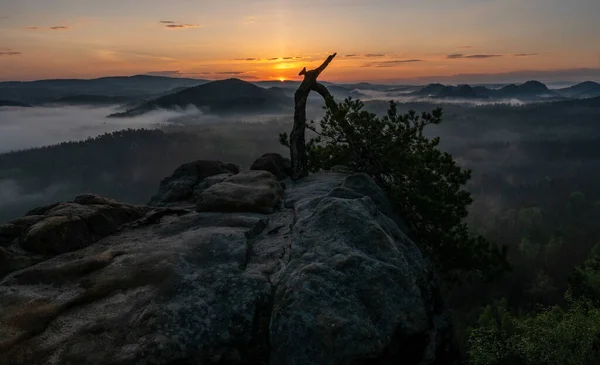 Zonsopgang Saksisch Zwitserland Htzschelstiege Saksen Duitsland Rechtenvrije Stockfoto's