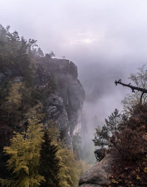 Sakson İsviçre 'de sisli bir sabah Saksonya, Almanya