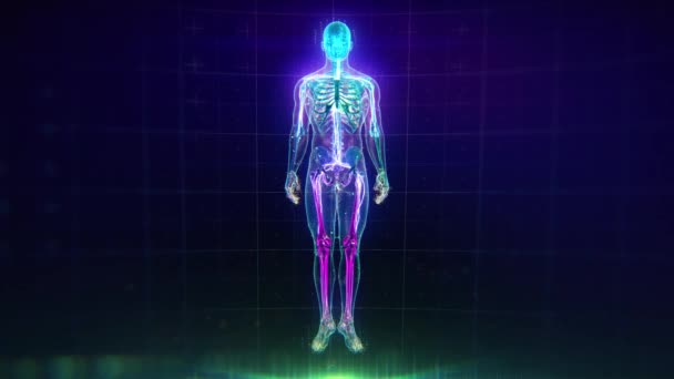 Colorful Human Body Animation Flares Particles Showing Veins Bones Organs — Stock Video