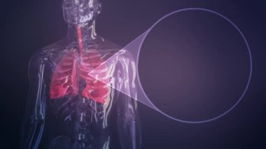 Ciğerlerinde solunum yolu enfeksiyonu olan Covid-19. Zatürree. Coronavirus virüsü virüsü tehlikeli bir grip türüdür. İnsan vücudundaki hastalık hücreleriyle salgın hastalık riski kavramı.