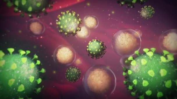 Brote Coronavirus Que Ataca Las Células Inmunitarias Blancas Antecedentes Del — Vídeo de stock