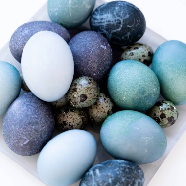 mavi ve siyah yumurtalar