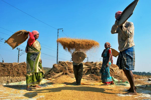 Nabanna kelimenin tam anlamıyla 'Nobo-Onno' ya da 'New Rice' anlamına gelir. Bu Bengali hasat kutlaması genellikle yemek, dans ve müzikle kutlanır. Agrohyon 'un Bengali ayındaki Nabanna festivali (Kasım).