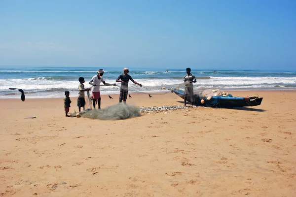 Balıkçılar Puri sahilinde bir balıkçı ağıyla çalışıyorlar..