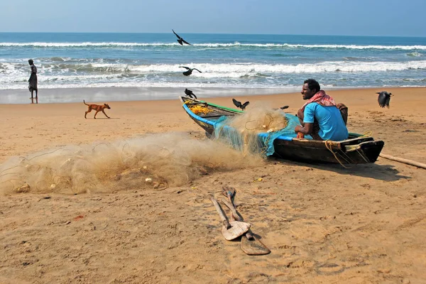 Balıkçılar Puri sahilinde balık ağıyla çalışıyorlar..