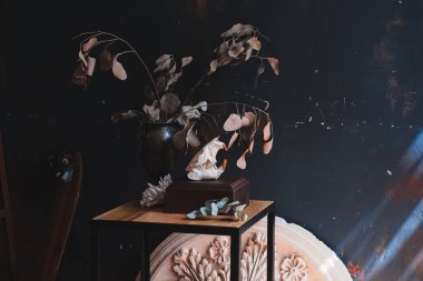 Gerçek kunduz kafatası, klasik sanatsal iç kısımlarda koyu renkli renklerde.