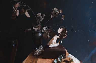 Gerçek kunduz kafatası, klasik sanatsal iç kısımlarda koyu renkli renklerde.