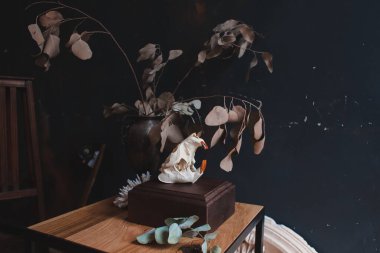 Gerçek kunduz kafatası, klasik sanatsal iç kısımlarda koyu renkli renklerde.