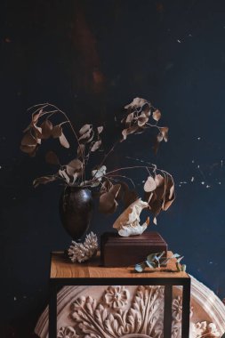 Gerçek kunduz kafatası, klasik sanatsal iç kısımlarda koyu renkli renklerde.