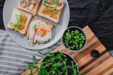 Kahvaltı için çeşitli sandviçler, atıştırmalıklar, kızarmış yumurta, fıstık ezmesi, bezelye yeşili aperatifler. Düz yerde, üst tarafta. Darl özgeçmişi. Hızlı sağlıklı yemek.