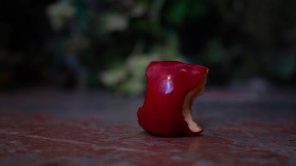 Une Main Ramassé Une Pomme Rouge Par Terre — Video