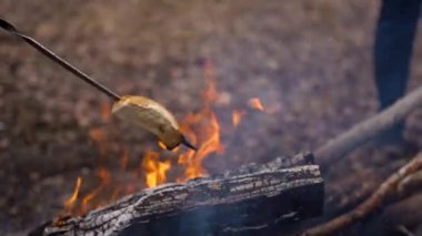 Bir sosisli sandviç şiş üzerinde ateşte kızarır. Barbekü için.