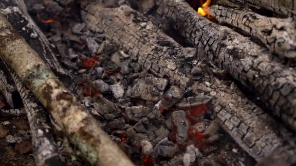 Een vuur brandt in het bos.Vuur en rood-hete kolen van gele en rode kleur — Stockvideo