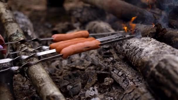 Гарячу собачу булочку смажать на вогні в лісі на шампурі. Для барбекю — стокове відео