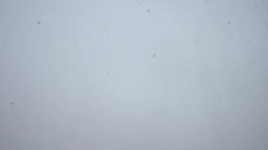 Pencerenin dışında, kar yağıyor ve kar yağıyor. Büyük kar taneleri yağıyor. Ağaçlar şimdiden çiçek açmaya başladı, ama kar tekrar yağmadı, bu ilk olabilir.