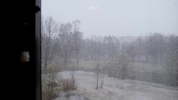 窓の外では雪が降っていて雪が降っています 大きな雪片が降っています 木はすでに咲き始めていますが 雪が再び来ていないので 初めてかもしれません ストック動画