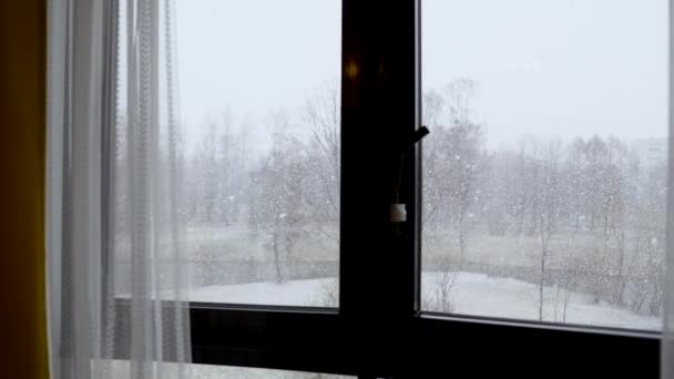 窓の外では雪が降っていて雪が降っています 大きな雪片が降っています 木はすでに咲き始めていますが 雪が再び来ていないので 初めてかもしれません — ストック動画