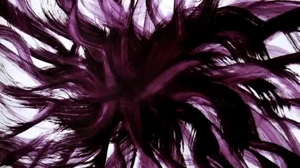 Animation Grunge Brush Stroke Abstract Hand Painted Element Flower Bud — Stock Video