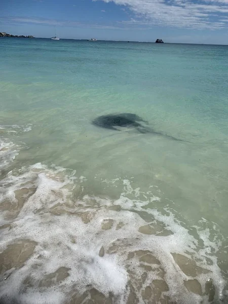 Naturaleza Máxima Expresión — Foto de Stock