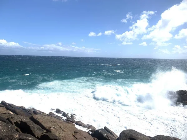 Naturaleza Máxima Expresión — Foto de Stock