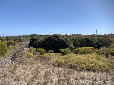 Avustralya doğası en iyisidir.