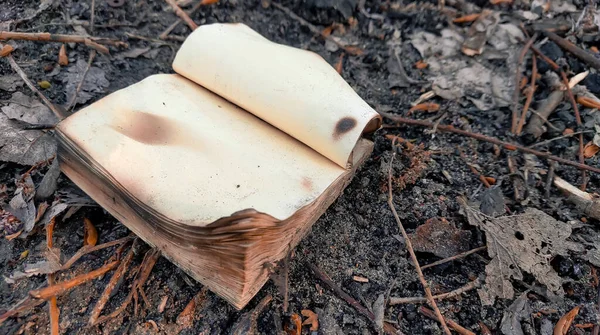 small book with pages burned on a fire on the ground