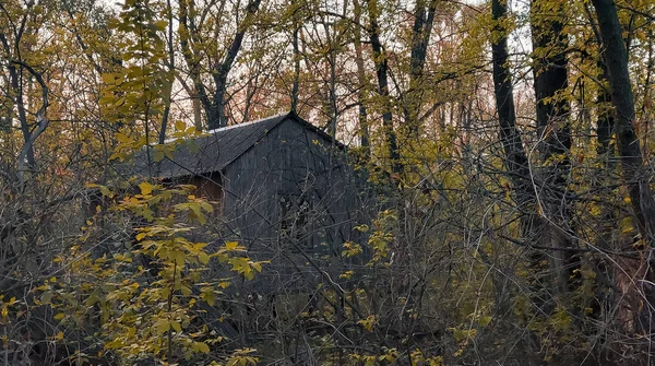 Casa Abandonada Cabana Floresta — Fotografia de Stock