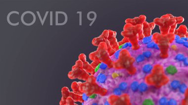 Covid 19 virüs makrosu