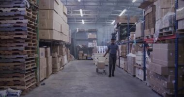 Nakliye deposunda kutuları taşıyan Afro-Amerikan Yönetici.