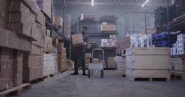 Nakliye deposunda kutuları taşıyan Afro-Amerikan Yönetici.