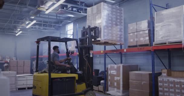 African American Manager Shipping Warehouse Using Forklift — Stock Video