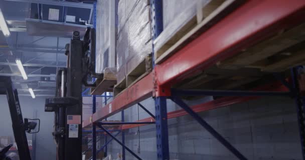 使用叉车运输仓库的非裔美国人经理 — 图库视频影像