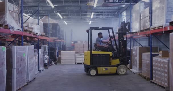 Nakliye Deposunda Forklift Kullanan Afrikalı Amerikalı Bir Yönetici — Stok video