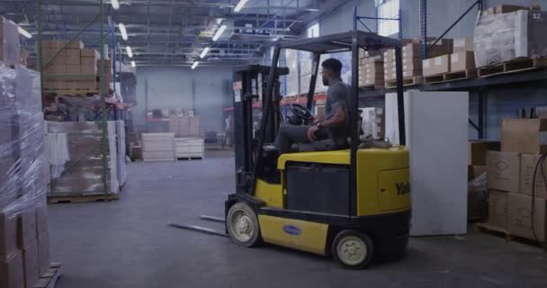 Gerente Afroamericano Almacén Envío Usando Carretilla Elevadora — Vídeo de stock