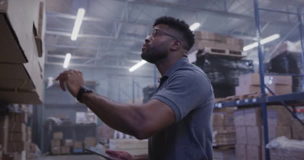 倉庫におけるアフリカ系アメリカ人マネージャーの肖像 — ストック動画