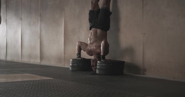 Homem Fazendo Handstand Push Ups Ginásio — Vídeo de Stock