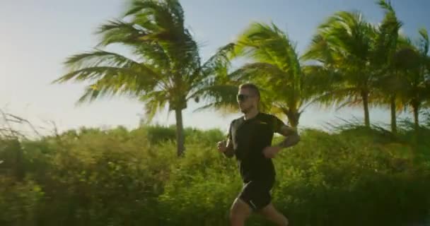 Corredor Masculino Treinamento Estrada Rural Pôr Sol — Vídeo de Stock