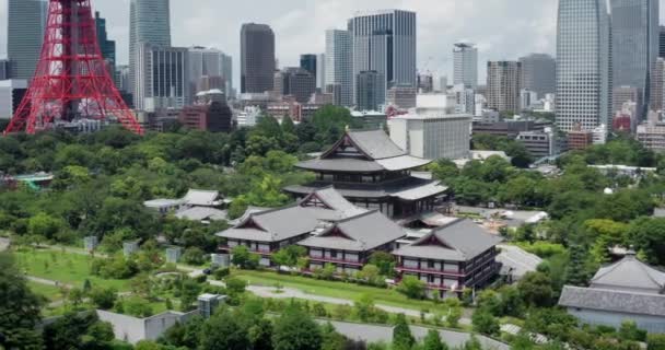 Drone Aerial View Tokyo — стокове відео