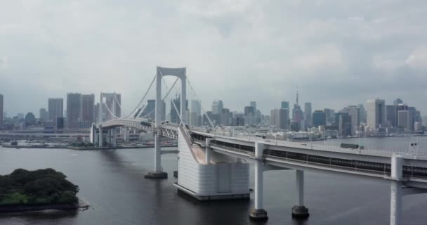 Вид Воздуха Токио — стоковое видео