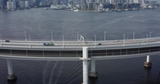 Drone Aerial View Tokyo — стокове відео