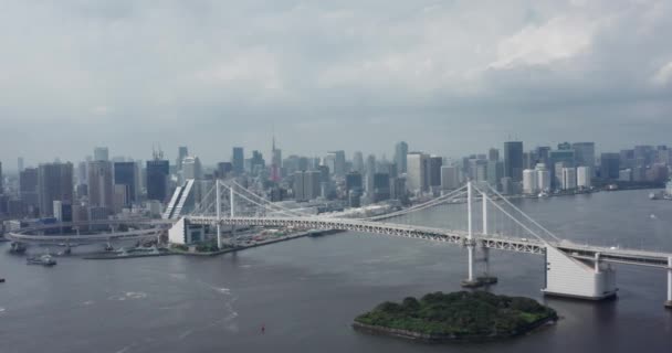 Drone Aerial View Tokyo — Stock Video
