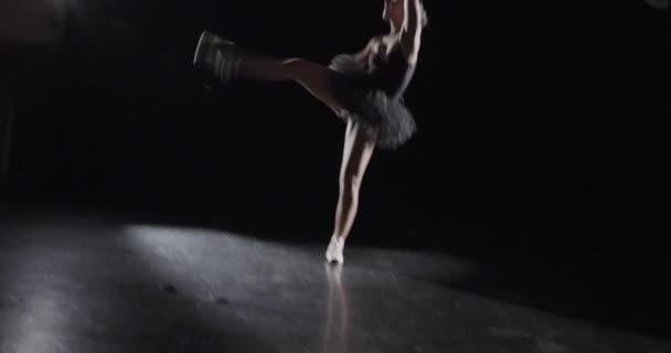 Ballet Performer Dark Studio — Stock Video