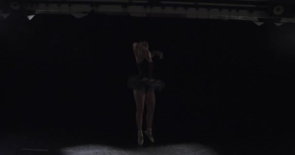 黑暗工作室的芭蕾舞剧表演者 — 图库视频影像
