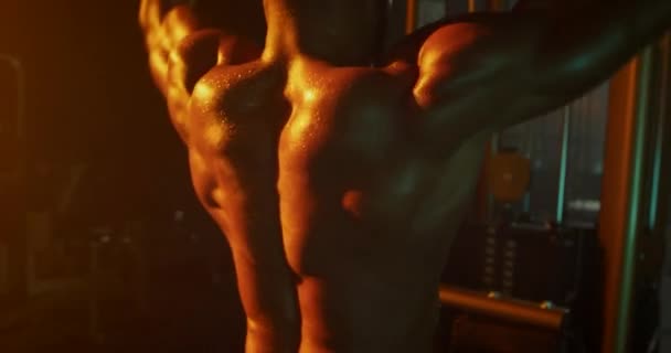Mann Trainiert Rückenmuskulatur Dunkler Turnhalle — Stockvideo