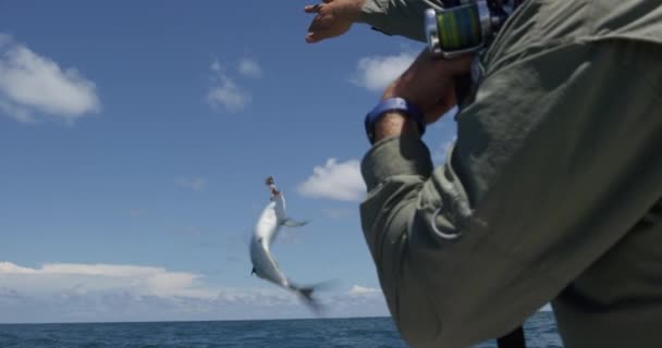 Homens Pesca Barco Mar Durante Dia Ensolarado — Vídeo de Stock