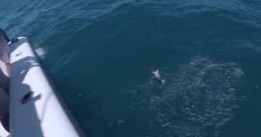 Güneşli bir günde teknede balık tutan adamlar